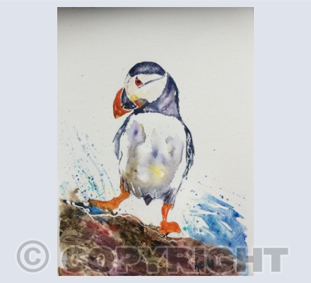 Puffin and Penguin Fun