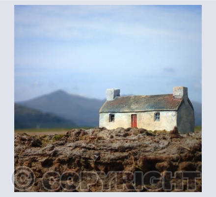 Cottages 1