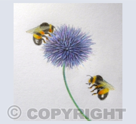 Bees