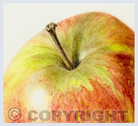 Apples