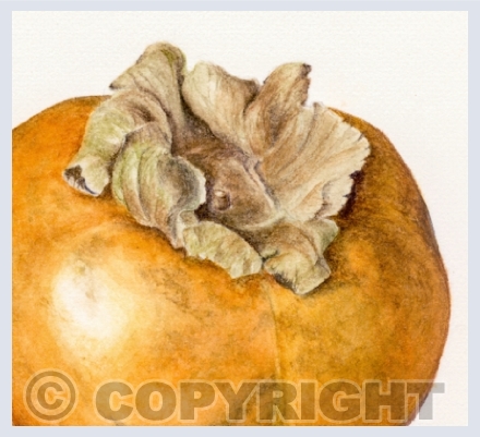 Other fruit