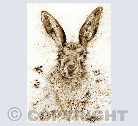 Hares