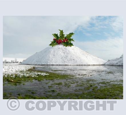 Winter Festival