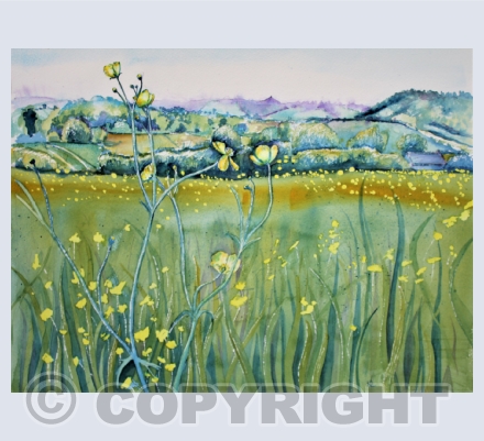 Landscapes