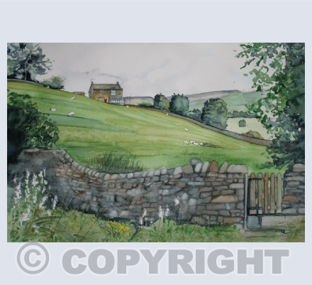 Landscapes