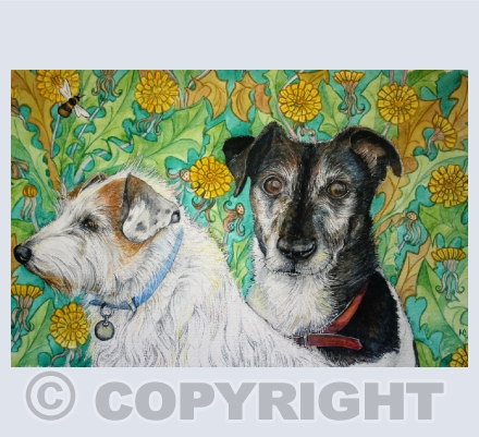 Cats and Dogs