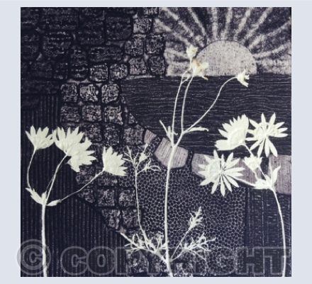Collagraphs