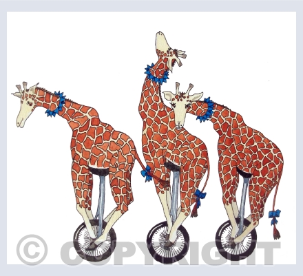 Animals