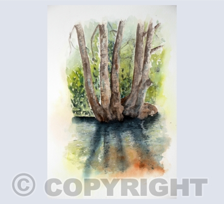 Landscape