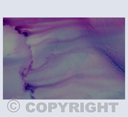 Abstract