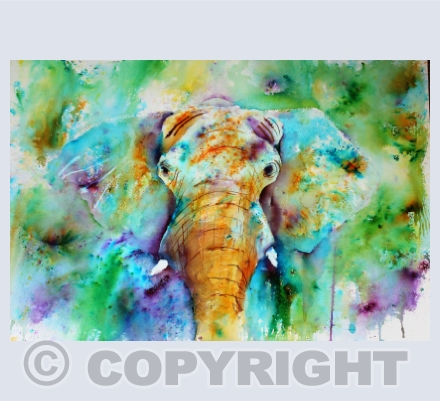 Animals
