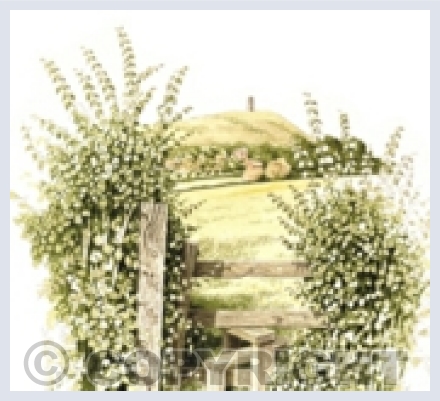 Cooper's Countryside