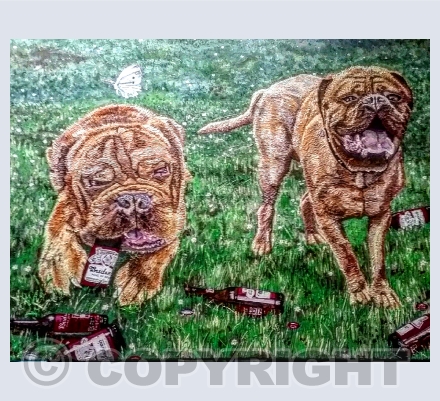 Animals