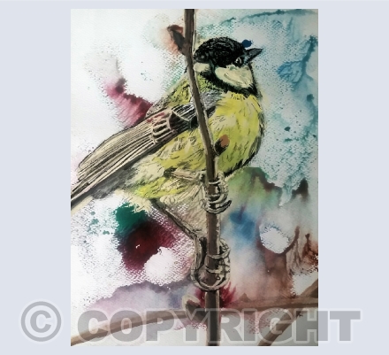 Birds