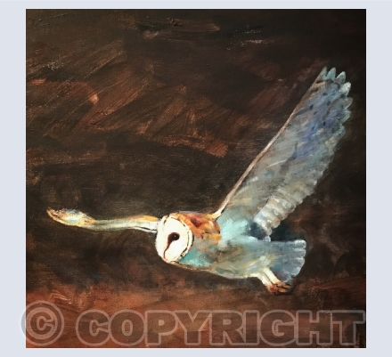 Owls