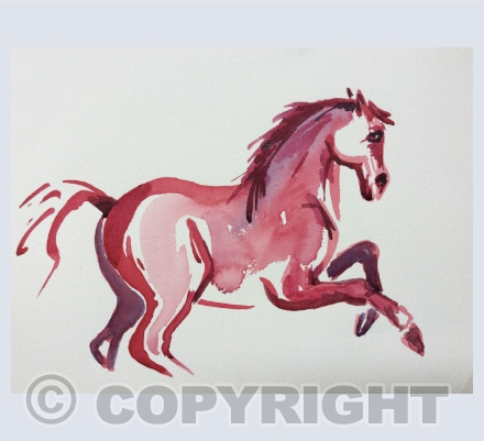 Horses