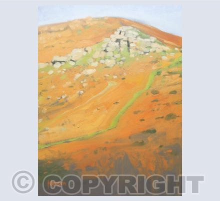 Dartmoor Aspects