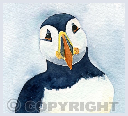 Birds and wildlife