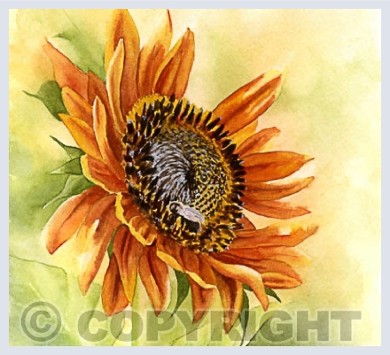 Flowers and plantlife