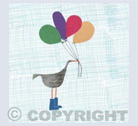 Birds in shoes