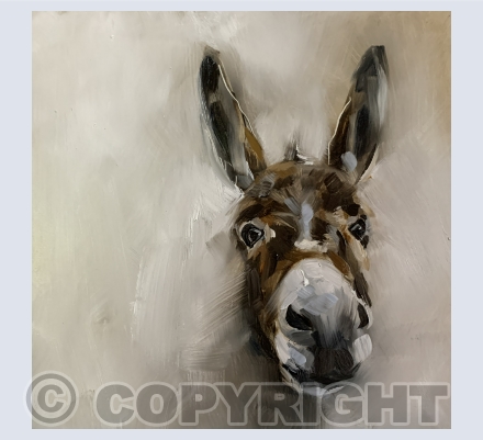 Donkeys, Horses and Farm Animals