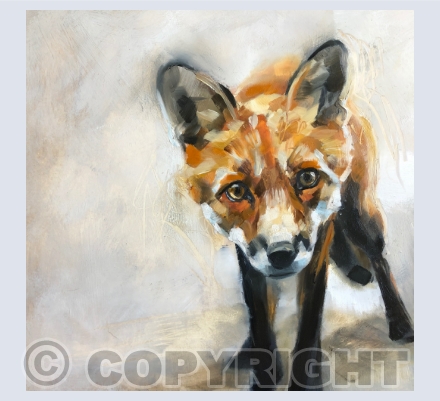 Foxes