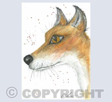 fox