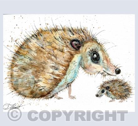 hedgehog
