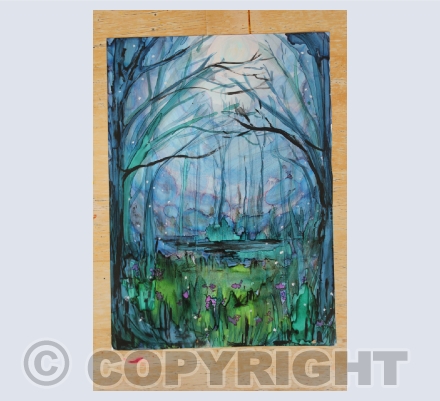 landscapes, nature