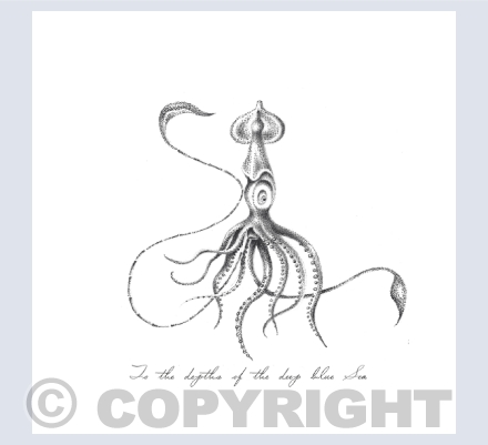 Monochrome Notecards