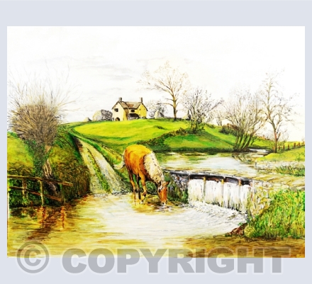 Somerset
