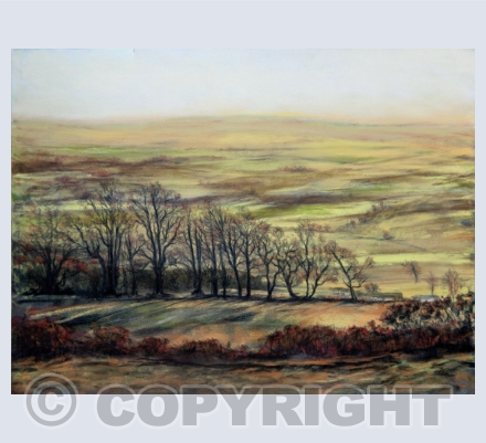 Landscape Paintings