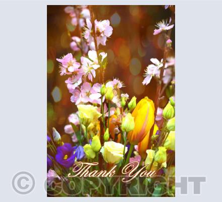 Thank You Cards