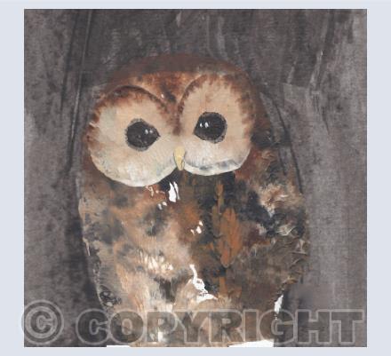 Owls