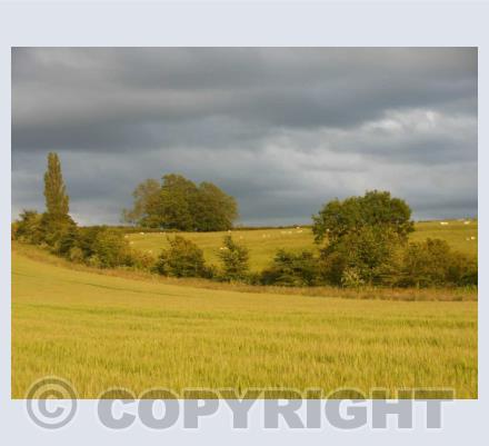 Countryside Views