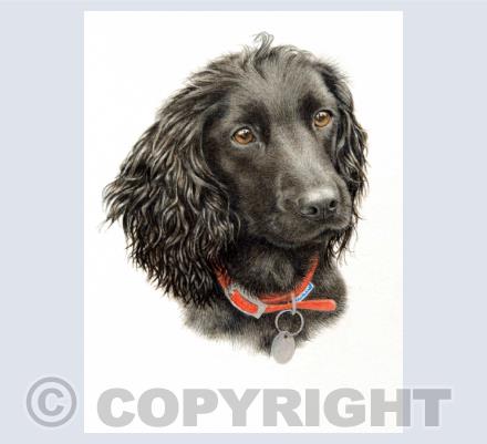 Dog Paintings