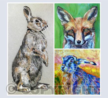Animal Cards