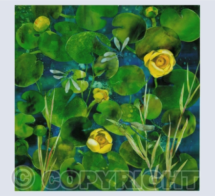 Ponds and Gardens