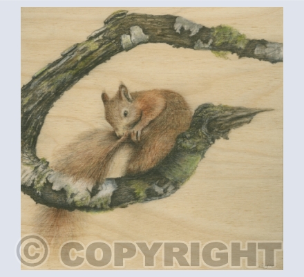 Wildlife