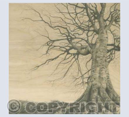 Trees