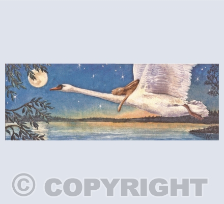 Gently Across the Water