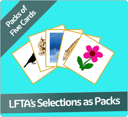LFTA Card Packs